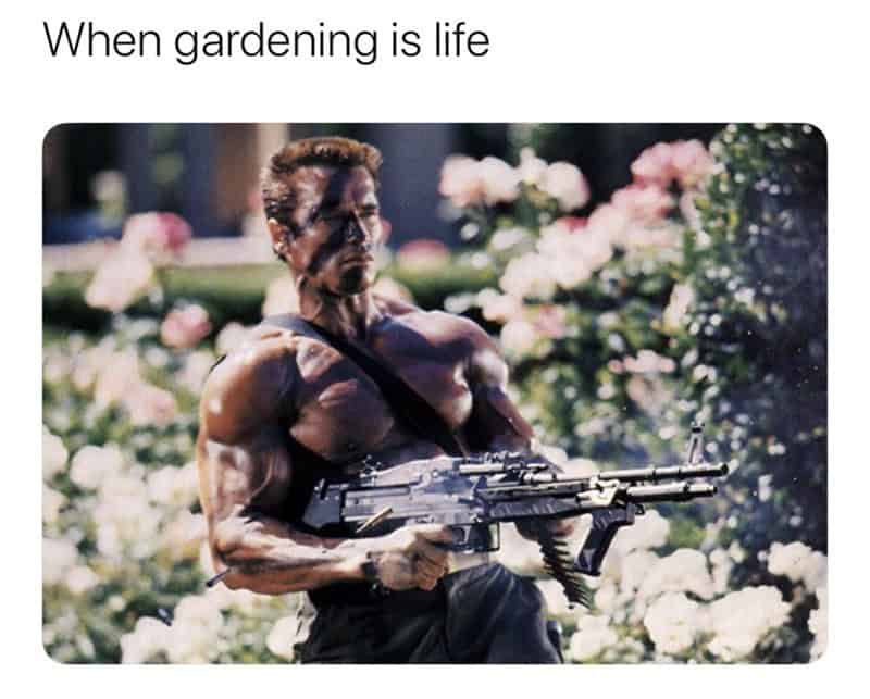action movie memes, 90s nostalgia, movie memes, group chat memes, throwback memes, millennial memes, hero memes, VHS memes, classic action memes, blockbuster jokes, action stars, movie references, funny memes, nostalgia memes, favorite heroes, movie tropes, Arnold Schwarzenegger memes, Van Damme memes, Willis memes