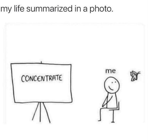 ADHD memes, ADHD humor, ADHD jokes, ADHD struggles, distracted memes, focus memes, time blindness, hyperfixation memes, scatterbrain memes, executive dysfunction memes, multitask memes, clinical ADHD memes, ADHD awareness, brain drift memes, attention deficit memes, task switching memes, forgetful memes, molecular mind memes, distraction memes, ADHD brain memes