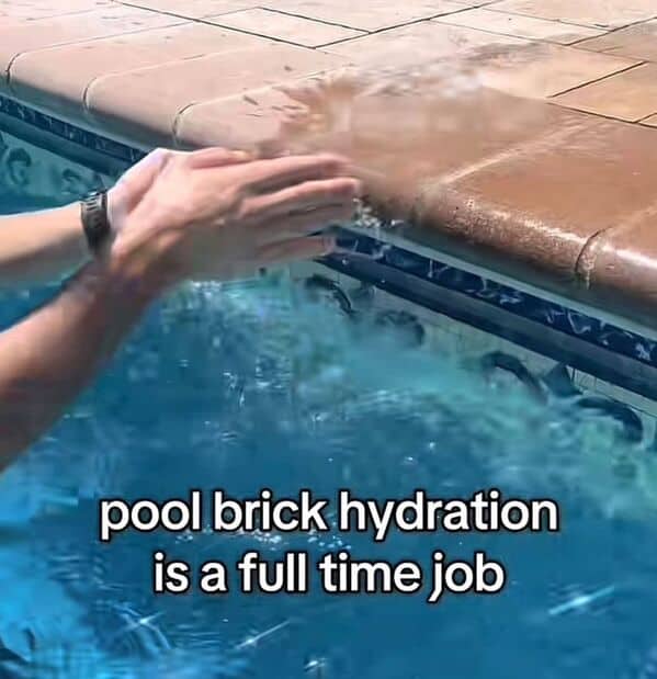 ADHD memes, ADHD humor, ADHD jokes, ADHD struggles, distracted memes, focus memes, time blindness, hyperfixation memes, scatterbrain memes, executive dysfunction memes, multitask memes, clinical ADHD memes, ADHD awareness, brain drift memes, attention deficit memes, task switching memes, forgetful memes, molecular mind memes, distraction memes, ADHD brain memes