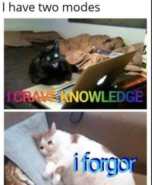 ADHD memes, ADHD humor, ADHD jokes, ADHD struggles, distracted memes, focus memes, time blindness, hyperfixation memes, scatterbrain memes, executive dysfunction memes, multitask memes, clinical ADHD memes, ADHD awareness, brain drift memes, attention deficit memes, task switching memes, forgetful memes, molecular mind memes, distraction memes, ADHD brain memes