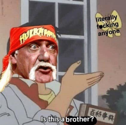 Hulk Hogan memes, wrestling memes, WWE, funny wrestler, Hulk Hogan, wrestling humor, WWE memes, Hulkster, wrestling jokes, wrestler memes, wrestling legends, wrestling fan, funny Hulk Hogan, meme collection, tribute memes, pop, Hulkster memes