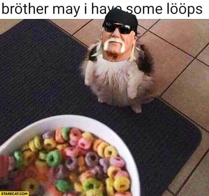 Hulk Hogan memes, wrestling memes, WWE, funny wrestler, Hulk Hogan, wrestling humor, WWE memes, Hulkster, wrestling jokes, wrestler memes, wrestling legends, wrestling fan, funny Hulk Hogan, meme collection, tribute memes, pop, Hulkster memes