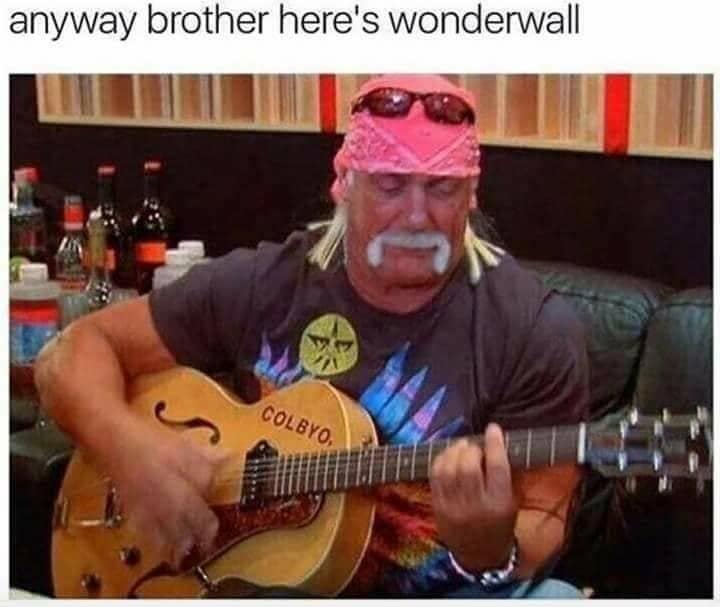 Hulk Hogan memes, wrestling memes, WWE, funny wrestler, Hulk Hogan, wrestling humor, WWE memes, Hulkster, wrestling jokes, wrestler memes, wrestling legends, wrestling fan, funny Hulk Hogan, meme collection, tribute memes, pop, Hulkster memes
