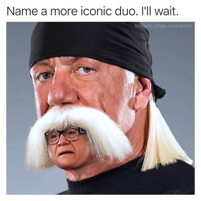 Hulk Hogan memes, wrestling memes, WWE, funny wrestler, Hulk Hogan, wrestling humor, WWE memes, Hulkster, wrestling jokes, wrestler memes, wrestling legends, wrestling fan, funny Hulk Hogan, meme collection, tribute memes, pop, Hulkster memes
