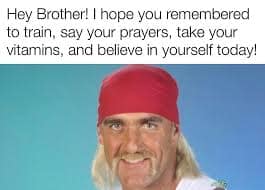 Hulk Hogan memes, wrestling memes, WWE, funny wrestler, Hulk Hogan, wrestling humor, WWE memes, Hulkster, wrestling jokes, wrestler memes, wrestling legends, wrestling fan, funny Hulk Hogan, meme collection, tribute memes, pop, Hulkster memes