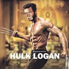 Hulk Hogan memes, wrestling memes, WWE, funny wrestler, Hulk Hogan, wrestling humor, WWE memes, Hulkster, wrestling jokes, wrestler memes, wrestling legends, wrestling fan, funny Hulk Hogan, meme collection, tribute memes, pop, Hulkster memes