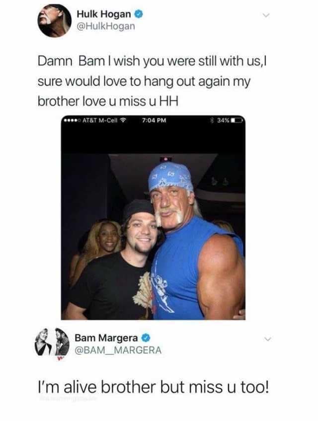 Hulk Hogan memes, wrestling memes, WWE, funny wrestler, Hulk Hogan, wrestling humor, WWE memes, Hulkster, wrestling jokes, wrestler memes, wrestling legends, wrestling fan, funny Hulk Hogan, meme collection, tribute memes, pop, Hulkster memes