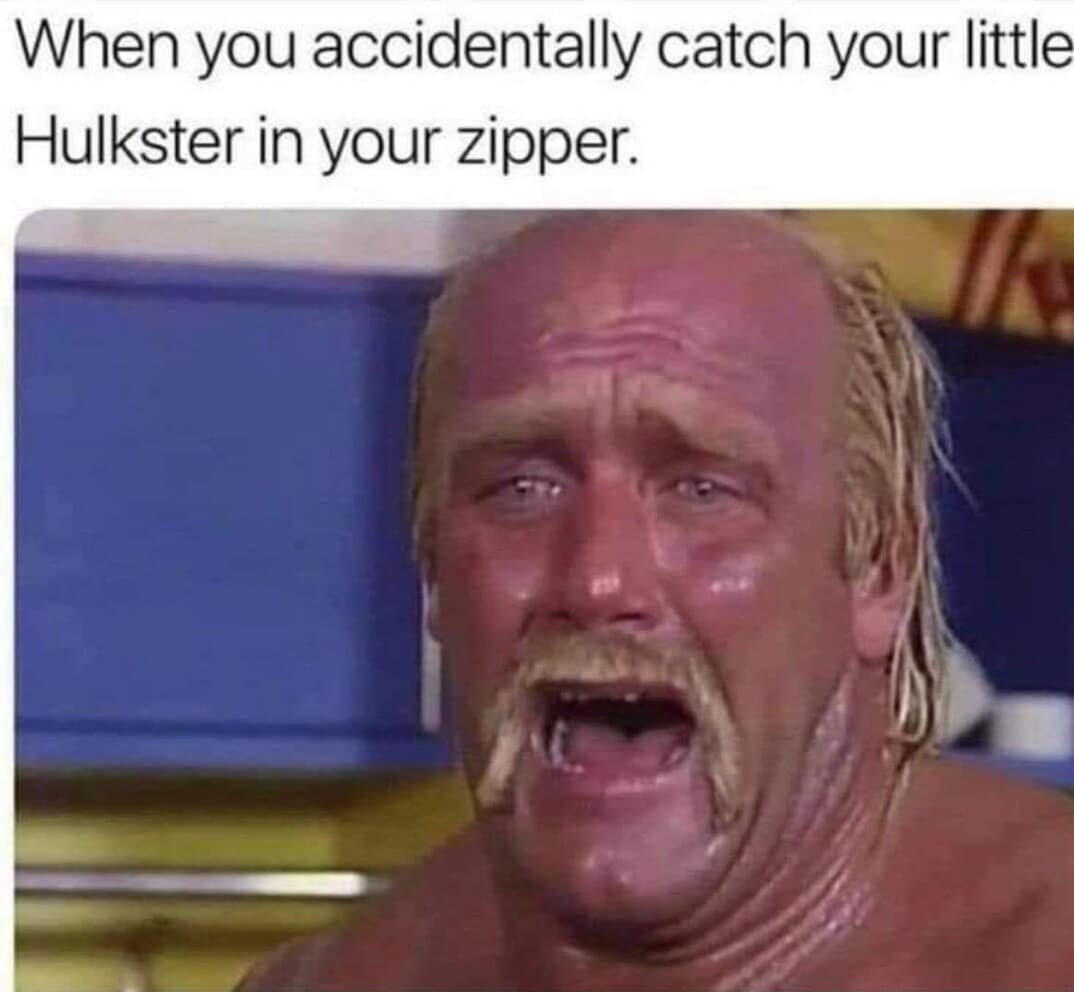 Hulk Hogan memes, wrestling memes, WWE, funny wrestler, Hulk Hogan, wrestling humor, WWE memes, Hulkster, wrestling jokes, wrestler memes, wrestling legends, wrestling fan, funny Hulk Hogan, meme collection, tribute memes, pop, Hulkster memes