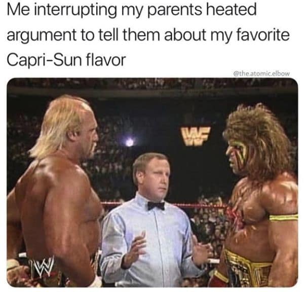 Hulk Hogan memes, wrestling memes, WWE, funny wrestler, Hulk Hogan, wrestling humor, WWE memes, Hulkster, wrestling jokes, wrestler memes, wrestling legends, wrestling fan, funny Hulk Hogan, meme collection, tribute memes, pop, Hulkster memes