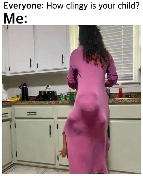 toddler memes, parenting memes, baby memes, toddler jokes, tiny tyrant memes, snack time memes, meltdown memes, toddler chaos memes, toddler life memes, mom memes, dad memes, diaper memes, LEGO memes, nap time memes, toddler humor, family memes, early childhood memes, toddler tantrum memes, parent life memes, parenting humor