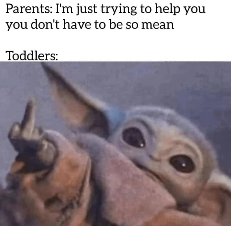 toddler memes, parenting memes, baby memes, toddler jokes, tiny tyrant memes, snack time memes, meltdown memes, toddler chaos memes, toddler life memes, mom memes, dad memes, diaper memes, LEGO memes, nap time memes, toddler humor, family memes, early childhood memes, toddler tantrum memes, parent life memes, parenting humor