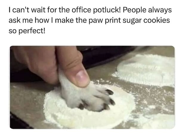 animal memes, funny animal memes, dog memes, cat memes, relatable memes, pet memes, viral pets, animal humor, classic memes, animal reaction pics, trending memes, group chat memes, animal fails, pet humor, internet animals, funny pets, animal jokes, pet videos, animal chaos, furry memes