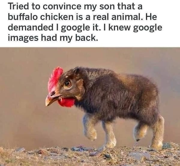 animal memes, funny animal memes, dog memes, cat memes, relatable memes, pet memes, viral pets, animal humor, classic memes, animal reaction pics, trending memes, group chat memes, animal fails, pet humor, internet animals, funny pets, animal jokes, pet videos, animal chaos, furry memes