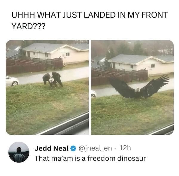 animal memes, funny animal memes, dog memes, cat memes, relatable memes, pet memes, viral pets, animal humor, classic memes, animal reaction pics, trending memes, group chat memes, animal fails, pet humor, internet animals, funny pets, animal jokes, pet videos, animal chaos, furry memes