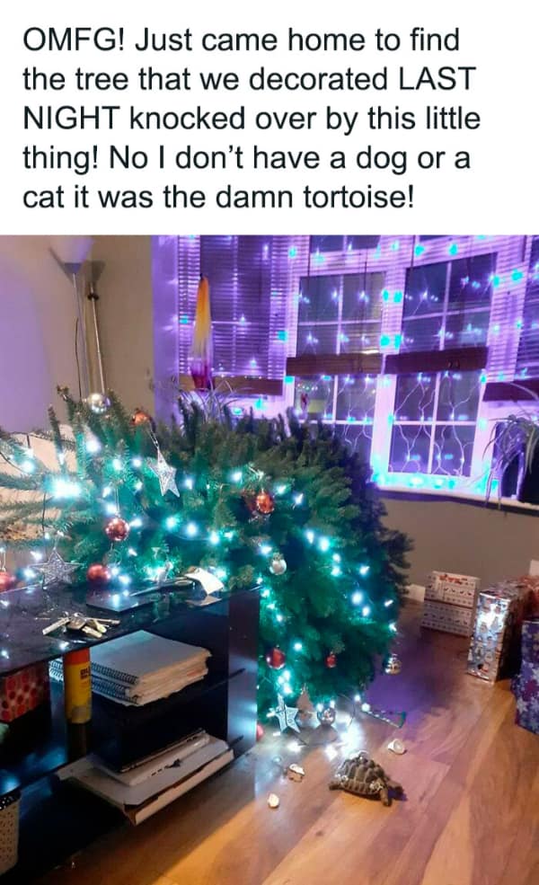 bad day photos, funny fails, fail photos, epic fails, funny fail memes, bad day memes, fail pictures, funny fails, awkward photos, disaster pics, photo fails, hilarious fails, instant regret photos, unlucky day memes, cringe photos, relatable fails, bad luck images, worst day ever memes, epic fail photos, funny disaster pics, comedy fails