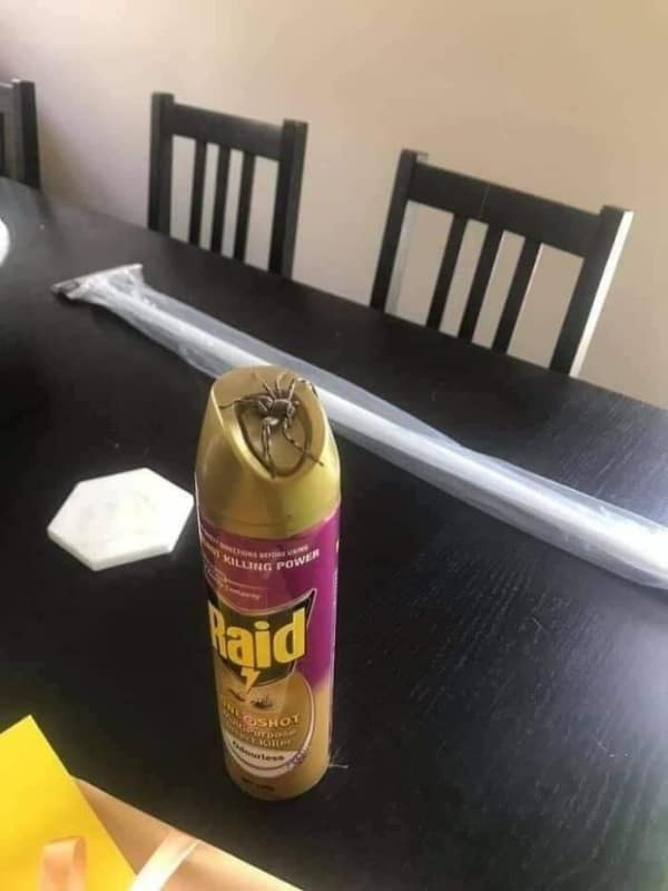 bad day photos, funny fails, fail photos, epic fails, funny fail memes, bad day memes, fail pictures, funny fails, awkward photos, disaster pics, photo fails, hilarious fails, instant regret photos, unlucky day memes, cringe photos, relatable fails, bad luck images, worst day ever memes, epic fail photos, funny disaster pics, comedy fails