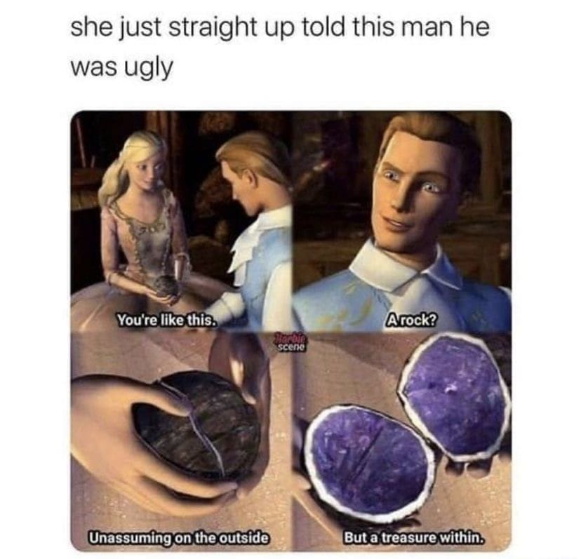 Barbie meme comparing a man to a rock with a geode joke