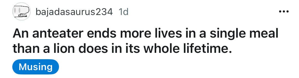 An anteater ends more lives in a single meal than a lion does in its whole lifetime.