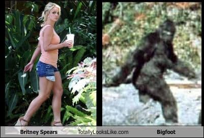 bigfoot meme, bigfoot memes, sasquatch memes, bigfoot jokes, bigfoot sighting memes, bigfoot laughs