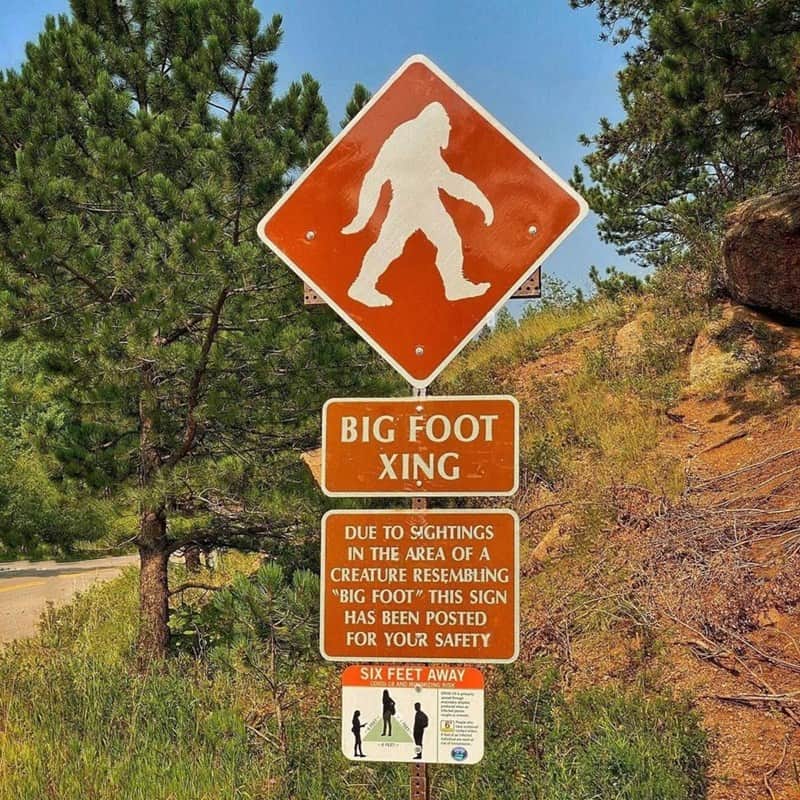 bigfoot meme, bigfoot memes, sasquatch memes, bigfoot jokes, bigfoot sighting memes, bigfoot laughs