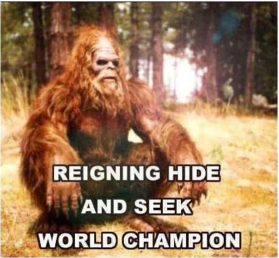 bigfoot meme, bigfoot memes, sasquatch memes, bigfoot jokes, bigfoot sighting memes, bigfoot laughs