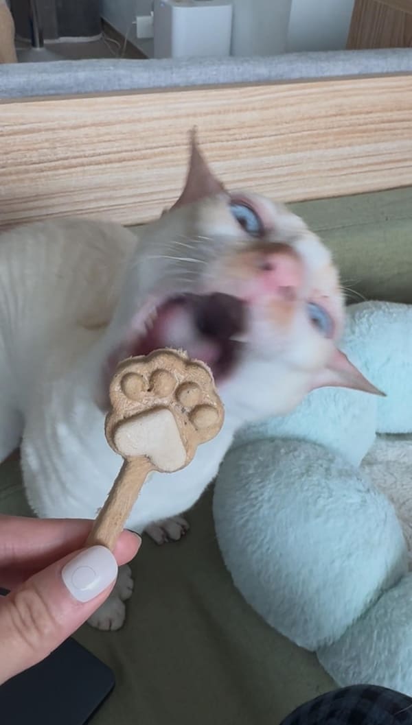 Blurry cats moment as a white cat lunges open-mouthed for a paw-shaped treat.