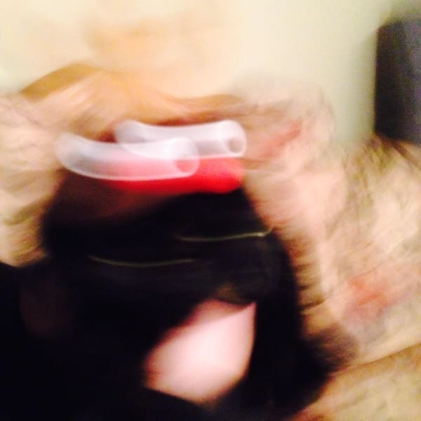 Blurry cats photo of a feline in front of a window, ears and outline glowing at dusk.