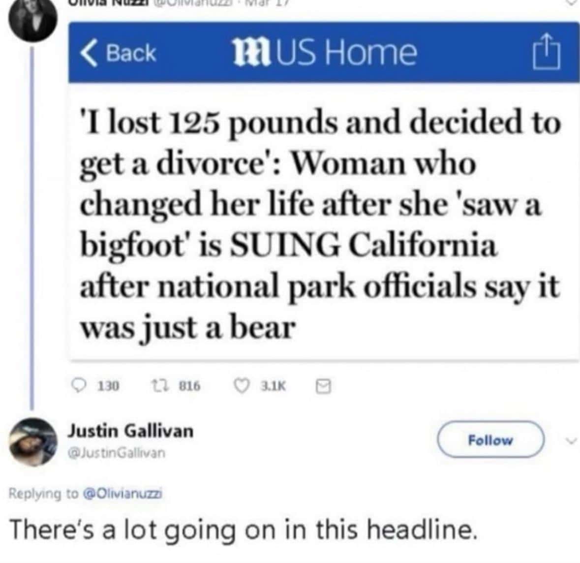 News post: Woman who changed her life after seeing “Bigfoot” sues park, officials say it was a bear. Comment: “There’s a lot going on in this headline.”