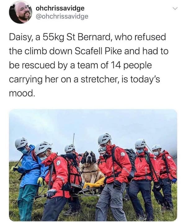British memes street photo of a postie wearing shorts in minus five degrees with Snapchat caption about the cold