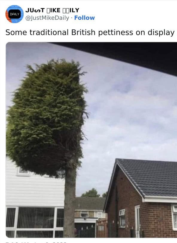 british memes, english memes, UK jokes, English funnies, Brit humor, UK humor, London wit, island sarcasm, monarchy quips, English jokes, royal banter, tea-laced mockery, stiff upper-lip laughs, Brit banter, comedic English, subtle digs, drizzle gags