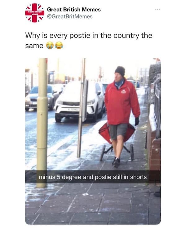British memes text chat about eating pork Wellington with pomme frites and tomato dressing, paired with a photo of the dish