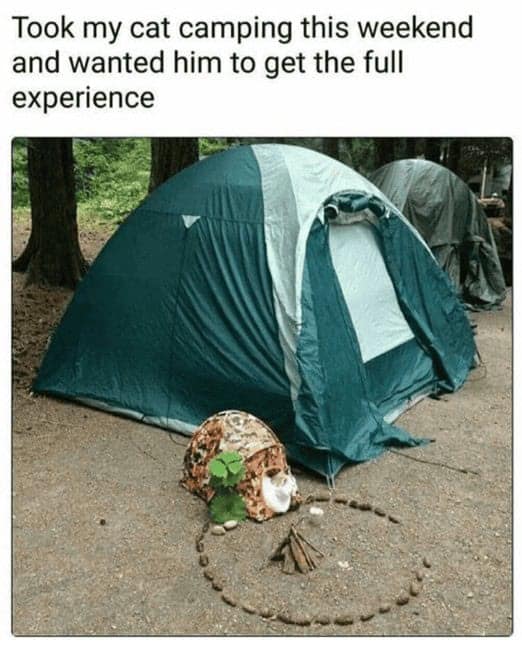 Took my cat camping this weekend and wanted him to get the full experience