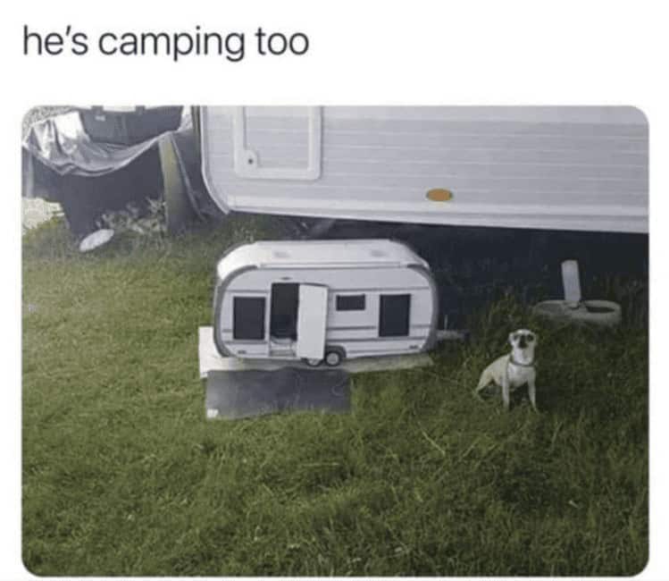he's camping too