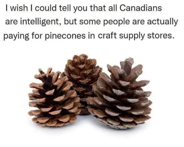 I wish I could tell you that all Canadians are intelligent, but some people are actually paying for pinecones in craft supply stores.
