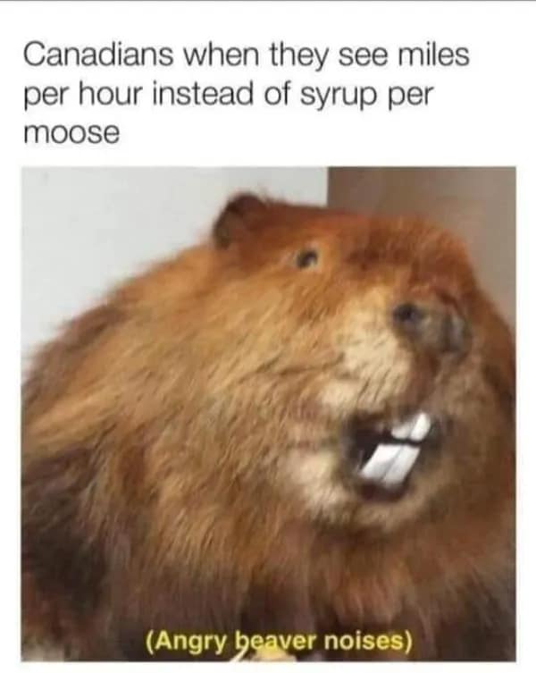 Canadians when they see miles per hour instead of syrup per moose