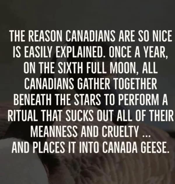 THE REASON CANADIANS ARE SO NICE IS EASILY EXPLAINED. ONCE A YEAR, ON THE SIXTH FULL MOON, ALL CANADIANS GATHER TOGETHER BENEATH THE STARS TO PERFORM A RITUAL THAT SUCKS OUT ALL OF THEIR MEANNESS AND CRUELTY ... AND PLACES IT INTO CANADA GEESE.