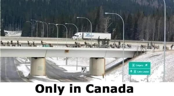 Only in Canada