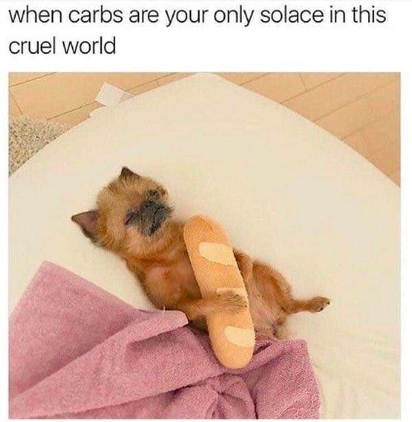 carb memes, pasta memes, bread memes, pizza memes, carb humor, dough memes, comfort food memes, carb obsession, garlic bread memes, fettuccine memes, carb life memes, bakery memes, carb celebration, carb cravings, carb lover memes, sandwich memes, doughnut memes, burger memes, pizza humor, pasta obsession