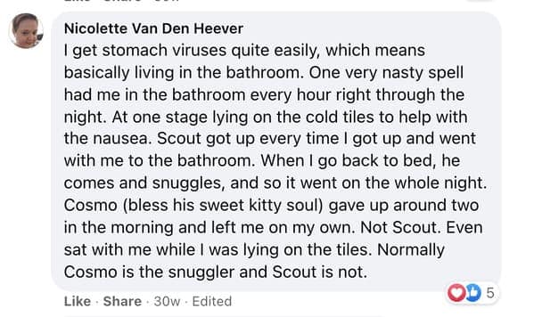 cat stories, wholesome cat stories, cute kittens, cat videos, rescue cats, feline heroes, cat comfort, pet stories, animal companionship, cat behavior, heartwarming stories, pet rescue, cat cuddles, cat owners, kitty magic, cat tales, animal therapy