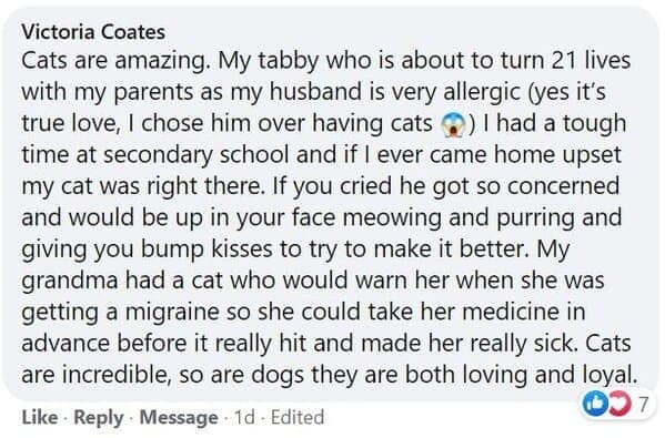 cat stories, wholesome cat stories, cute kittens, cat videos, rescue cats, feline heroes, cat comfort, pet stories, animal companionship, cat behavior, heartwarming stories, pet rescue, cat cuddles, cat owners, kitty magic, cat tales, animal therapy