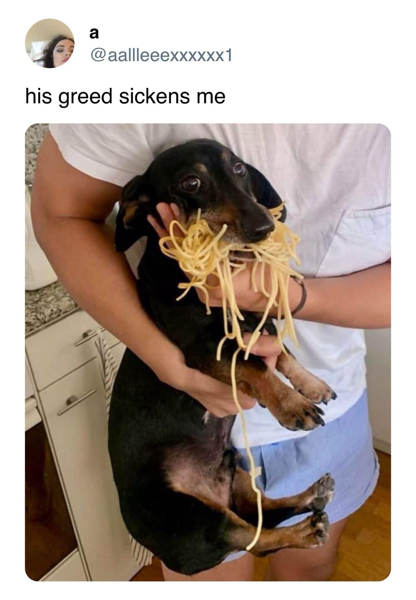 classic memes, vintage memes, viral tweets, timeless memes, nostalgic memes internet memes, viral memes, trending memes, popular memes, funny memes, hilarious memes, comedic memes, amusing memes, relatable memes, everyday memes, life memes, social memes, best memes, old memes