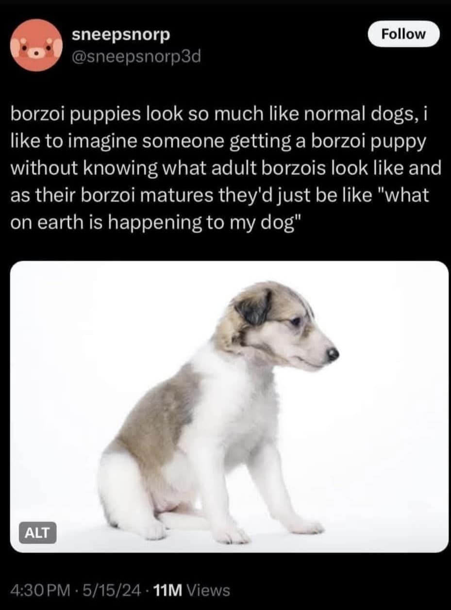 classic memes, vintage memes, viral tweets, timeless memes, nostalgic memes internet memes, viral memes, trending memes, popular memes, funny memes, hilarious memes, comedic memes, amusing memes, relatable memes, everyday memes, life memes, social memes, best memes, old memes
