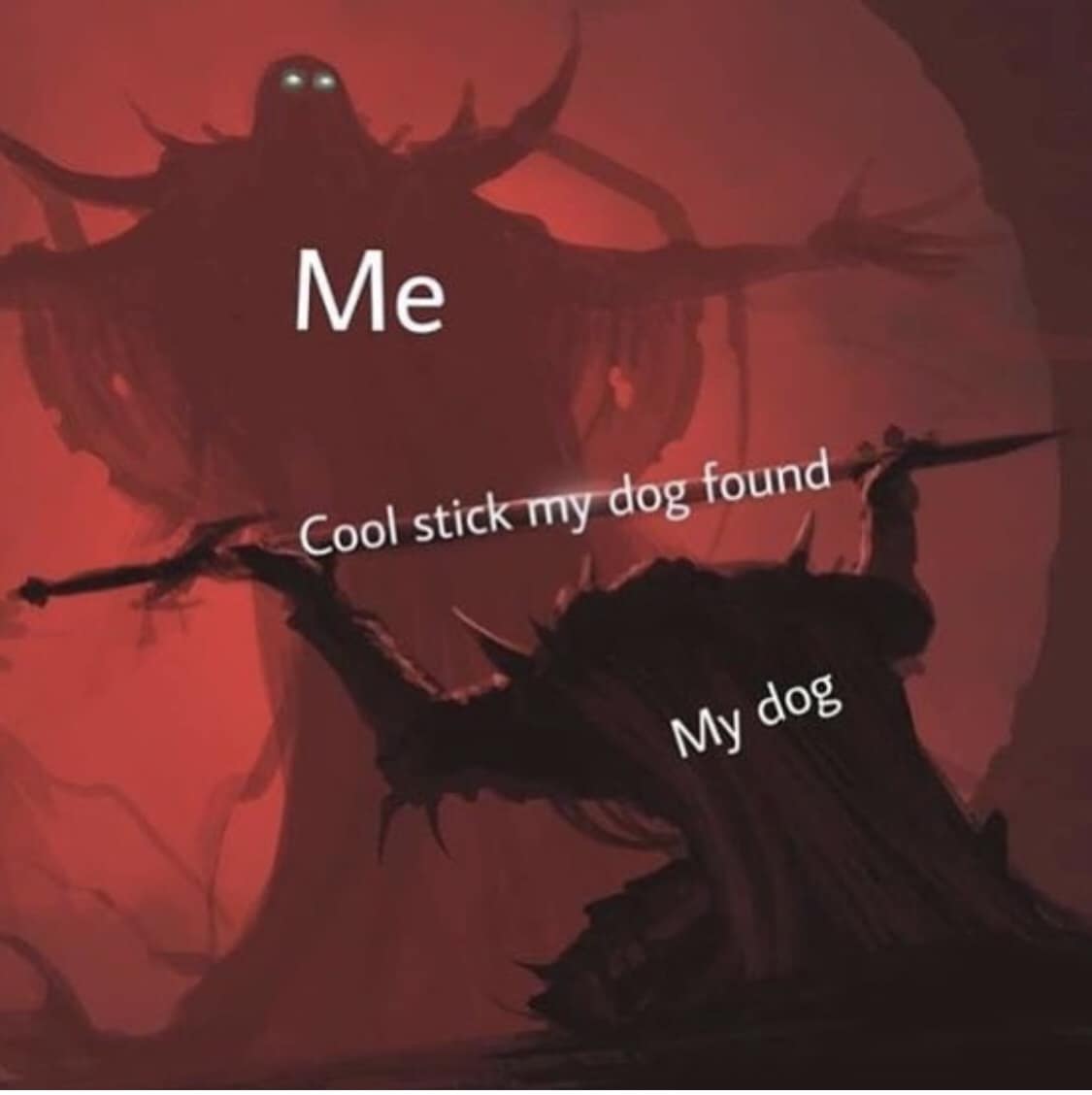 Me Cool stick my dog found My dos