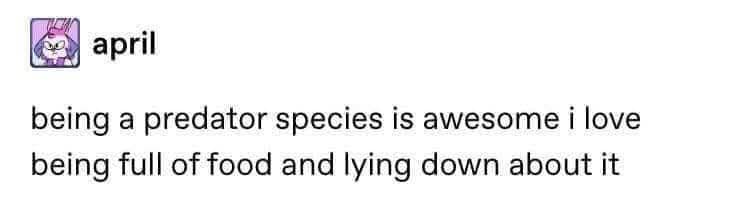 april being a predator species is awesome i love being full of food and lying down about it