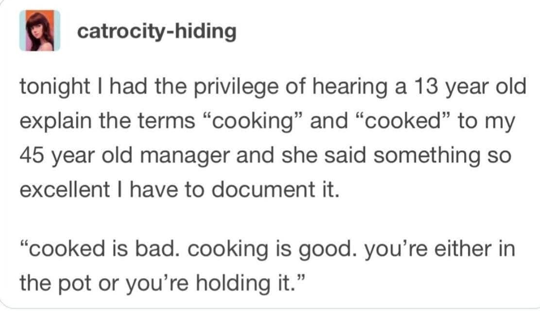 catrocity-hiding tonight I had the privilege of hearing a 13 year old explain the terms "cooking" and "cooked" to my 45 year old manager and she said something so excellent I have to document it. "cooked is bad. cooking is good. you're either in the pot or you're holding it."