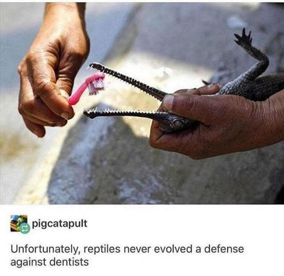 classic memes, vintage memes, viral tweets, meme nostalgia, internet legends, reaction images, trending memes, meme history, viral memes, meme legends, meme comfort food, group chat memes, iconic memes, meme timeline, old memes, best memes, classic jokes, meme culture, legendary memes, top memes, viral posts
