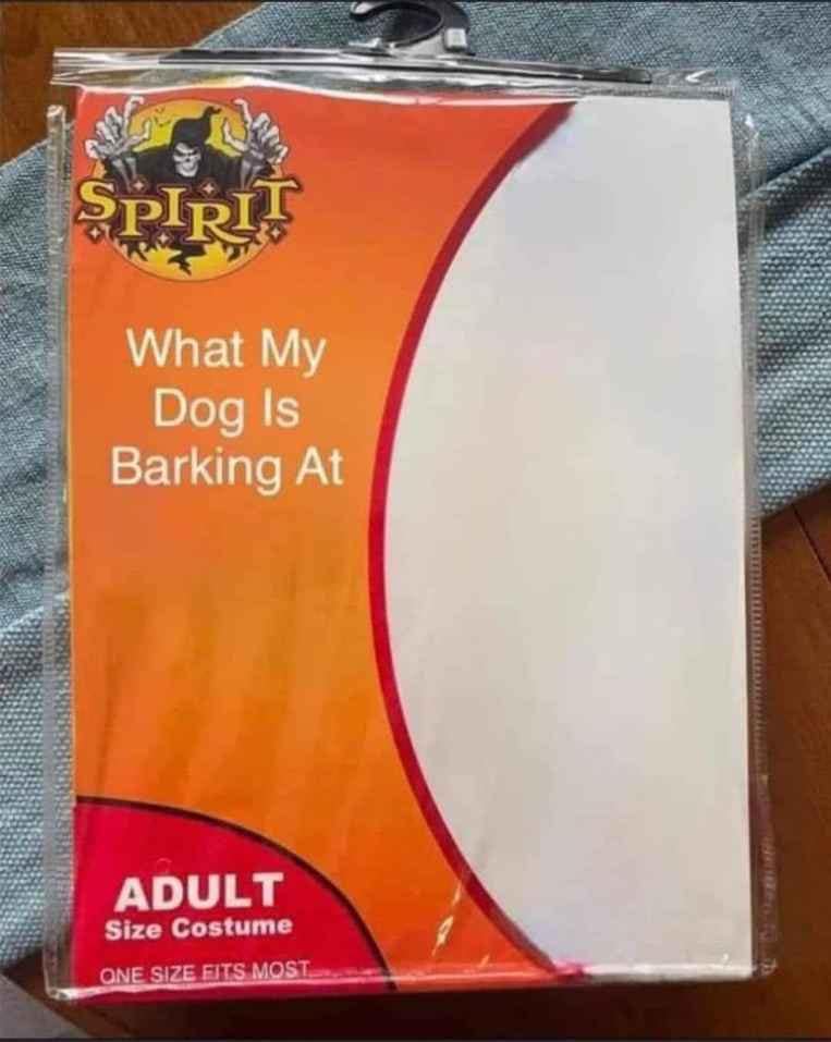 classic memes, vintage memes, viral tweets, meme nostalgia, internet legends, reaction images, trending memes, meme history, viral memes, meme legends, meme comfort food, group chat memes, iconic memes, meme timeline, old memes, best memes, classic jokes, meme culture, legendary memes, top memes, viral posts