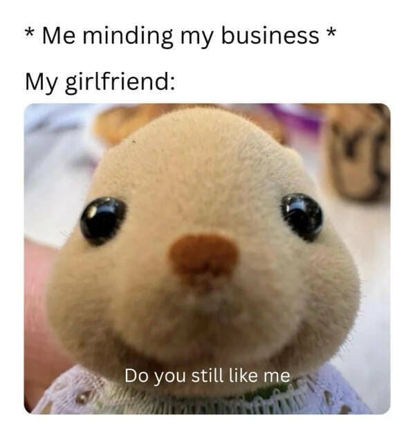 A close-up of a plush animal’s face with the caption “Do you still like me,” under the text “* Me minding my business * / My girlfriend:”