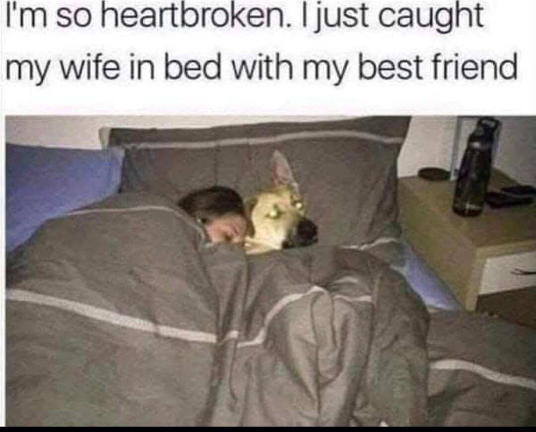 I'm so heartbroken. I just caught my wife in bed with my best friend