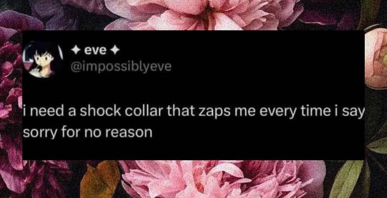 eve + @impossiblyeve i need a shock collar that zaps me every time i say sorry for no reason